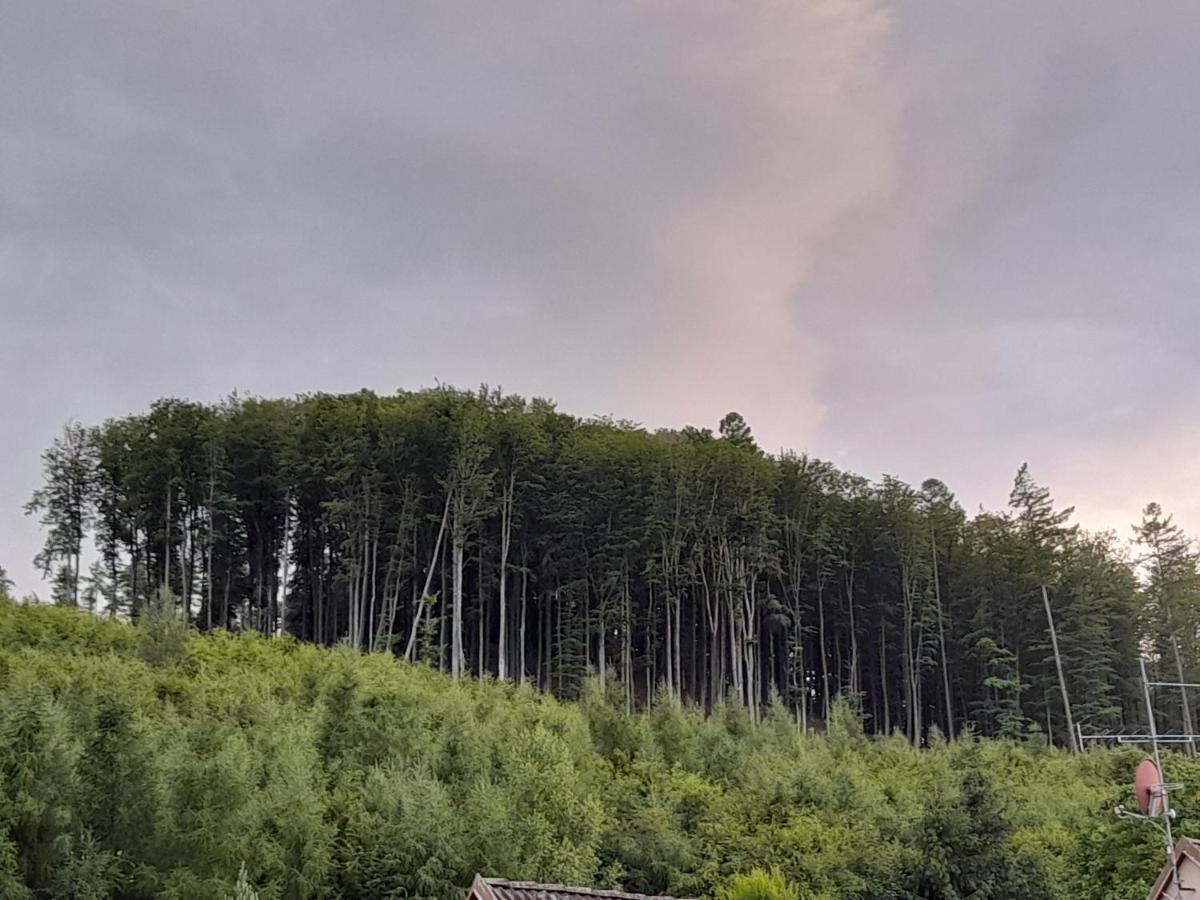 Pohoda Salas U Velehradu-2 Apartmany Uherské Hradiště Kültér fotó